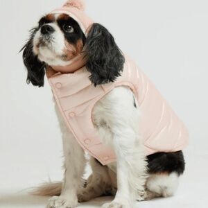 Maxbone Alpine Dog Puffer Vest